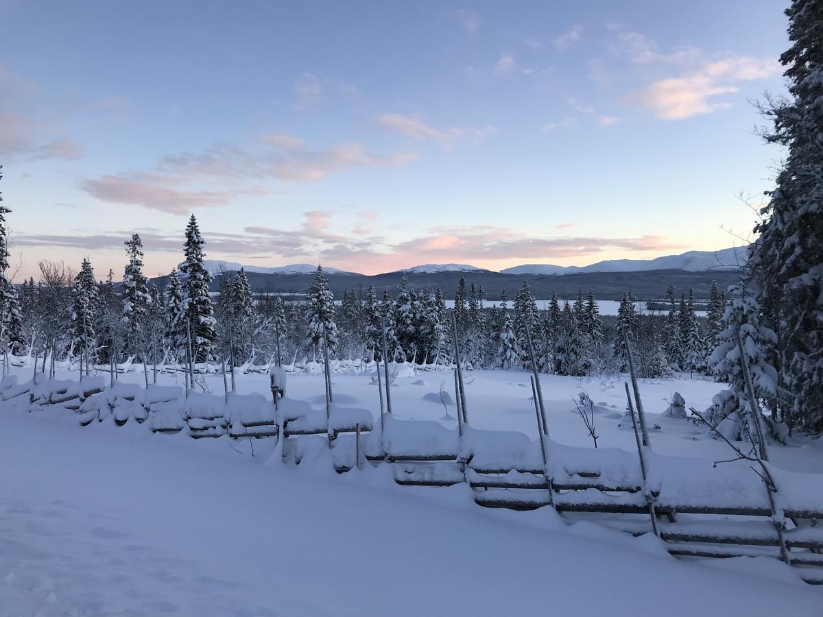 Ottsjoe Bear Lodge Exteriér fotografie